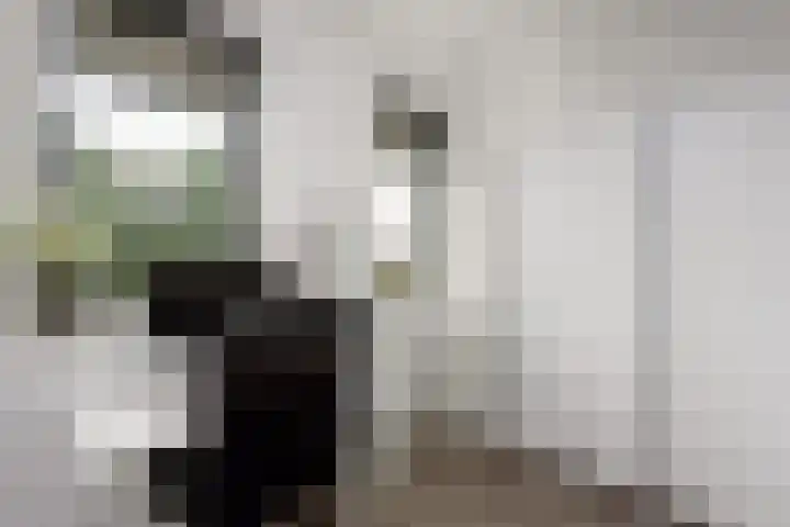Tempo Doeloestraat 239 Almere thumbnail 35
