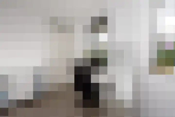 Tempo Doeloestraat 239 Almere thumbnail 36