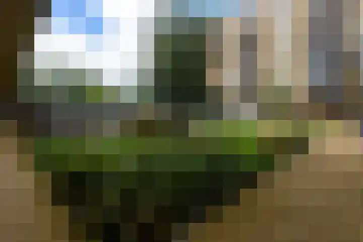Tempo Doeloestraat 239 Almere thumbnail 45