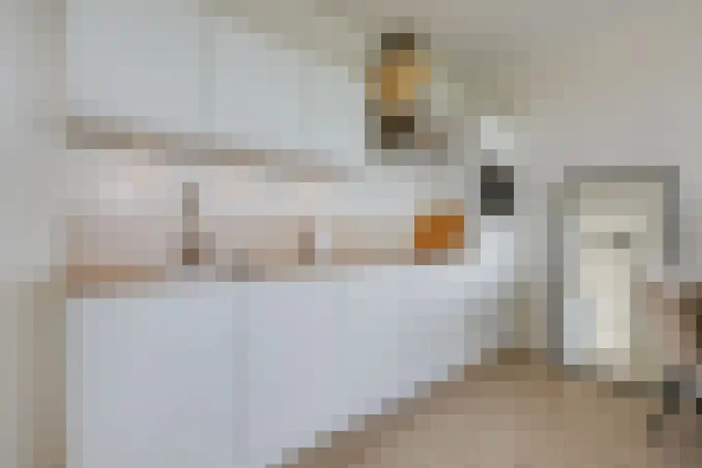 Tempo Doeloestraat 244 Almere thumbnail 4