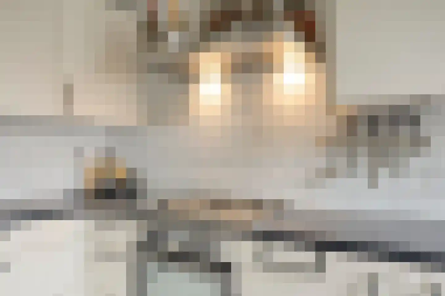 Ten Anker 16 Bruinisse thumbnail 13
