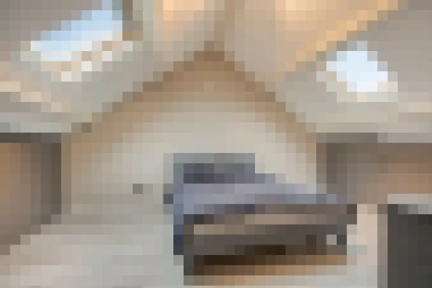 Ten Anker 16 Bruinisse thumbnail 27