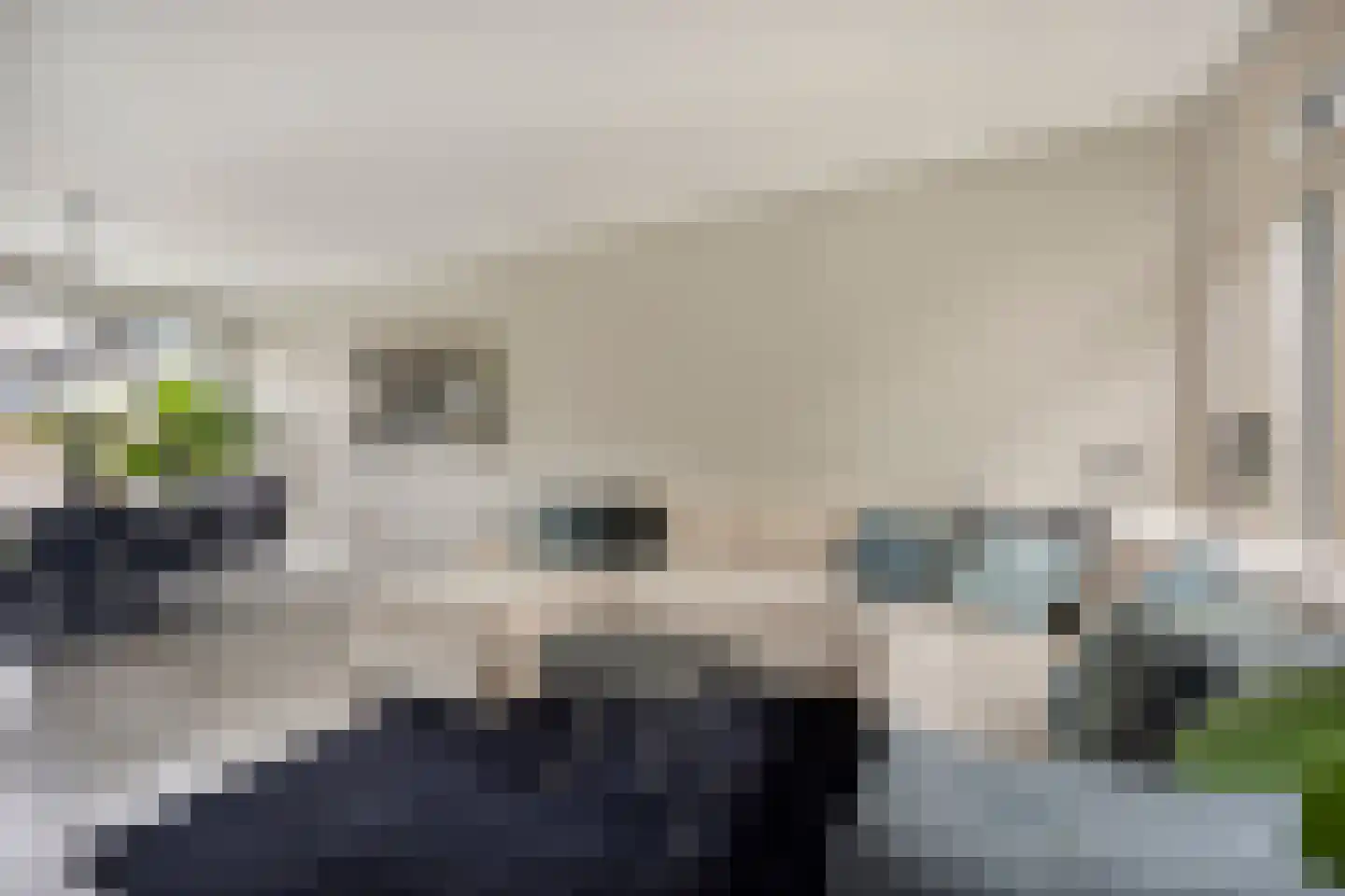 Ten Anker 16 Bruinisse thumbnail 9