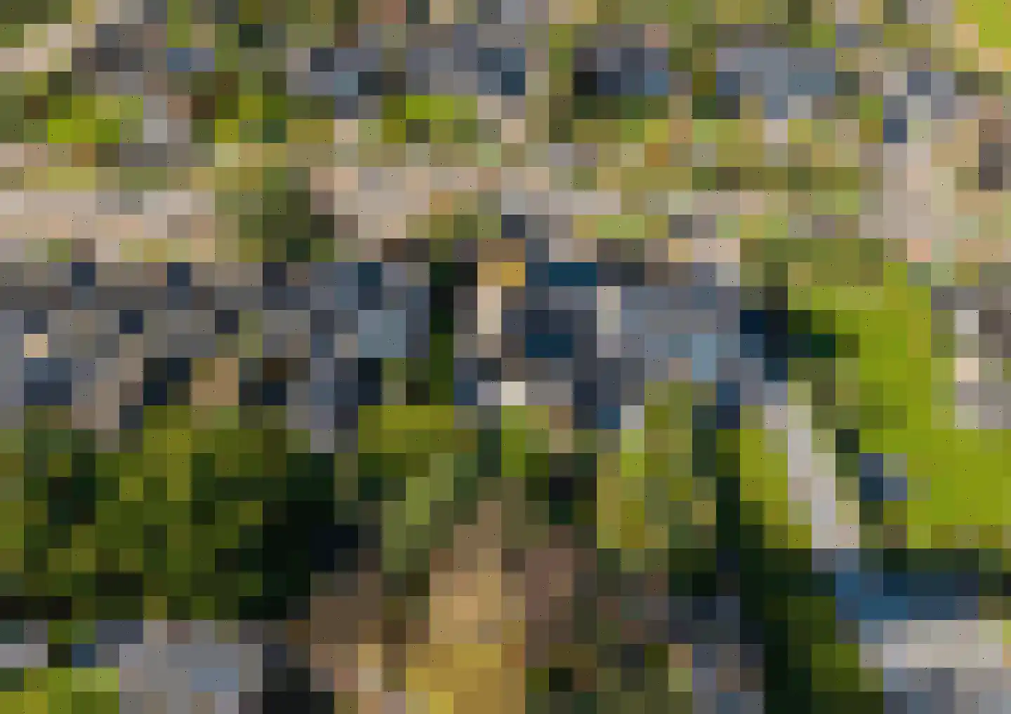Ten Ankerweg 39 a Tholen thumbnail 4