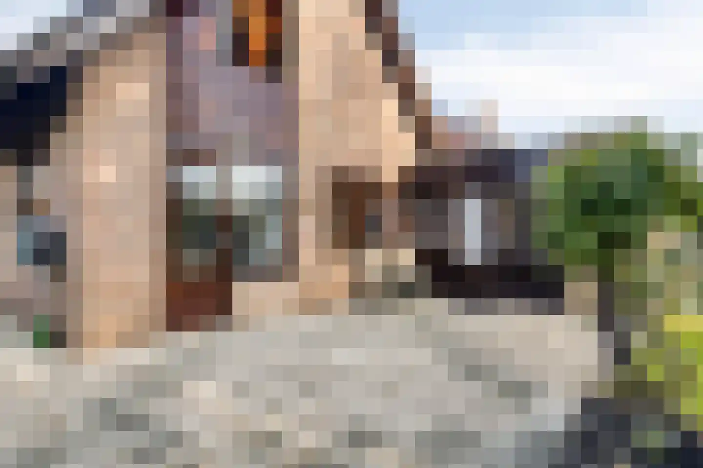 Ten Ankerweg 39 a Tholen thumbnail 46