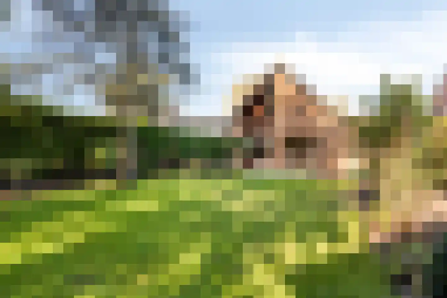 Ten Ankerweg 39 a Tholen thumbnail 51