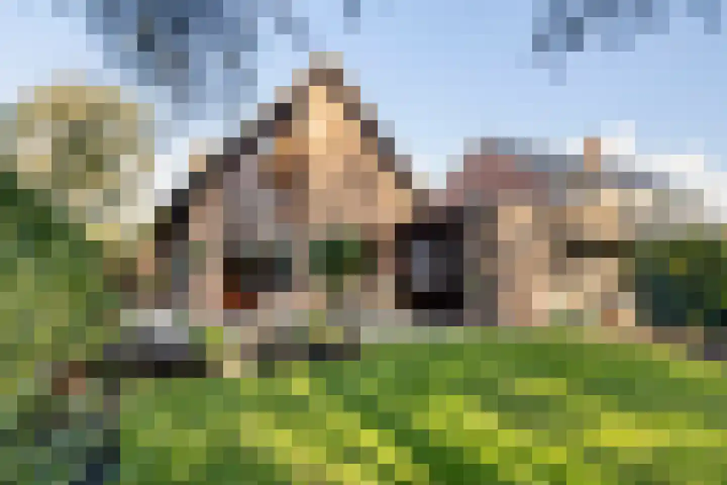 Ten Ankerweg 39 a Tholen thumbnail 52