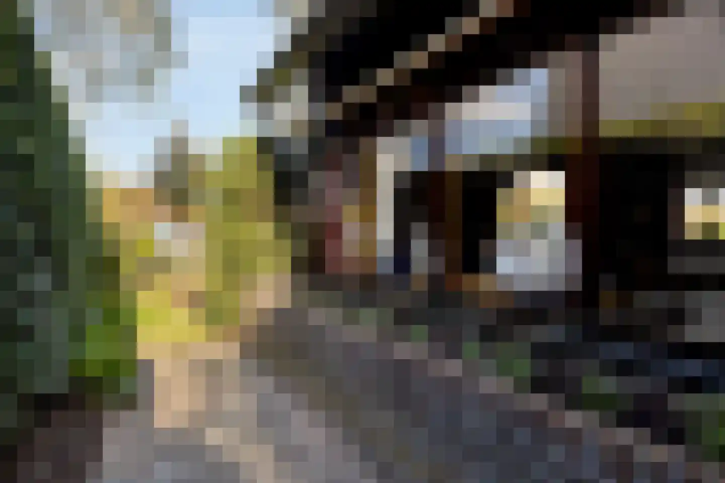 Ten Ankerweg 39 a Tholen thumbnail 56