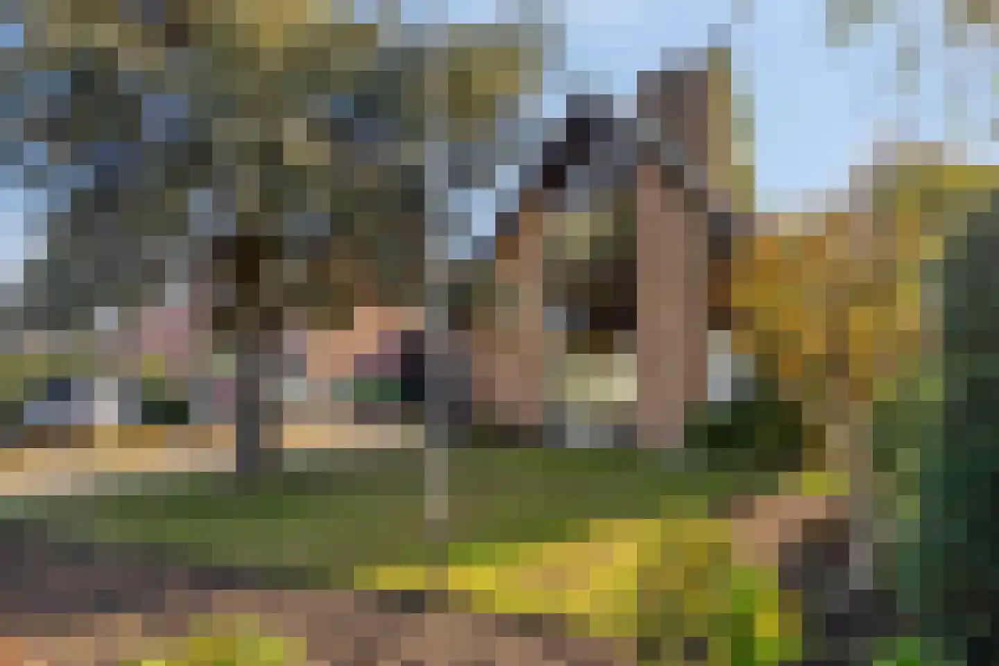 Ten Ankerweg 39 a Tholen thumbnail 6