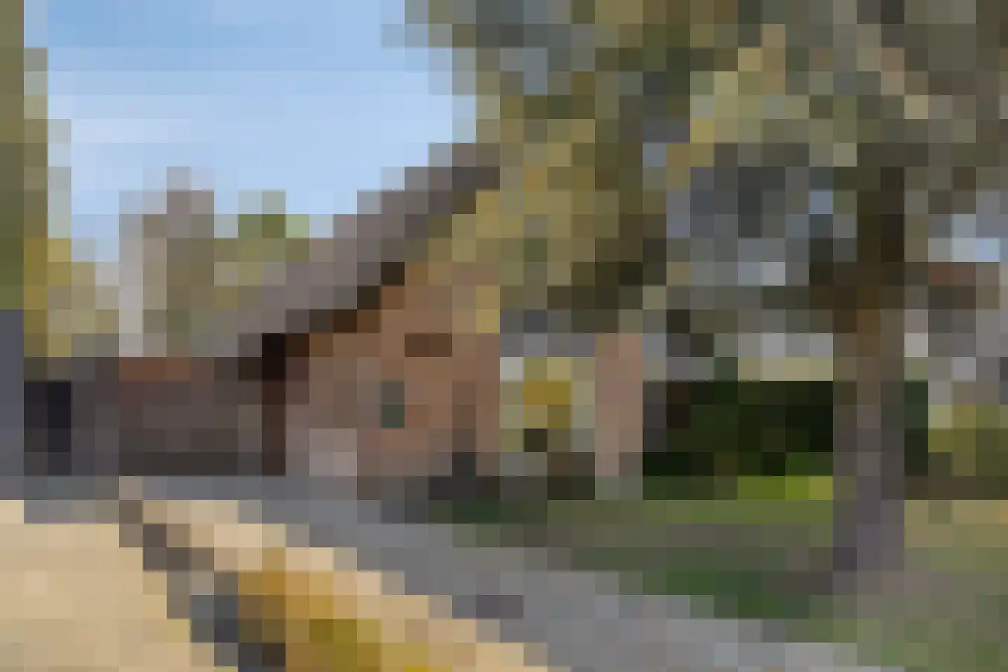 Ten Ankerweg 39 a Tholen thumbnail 60