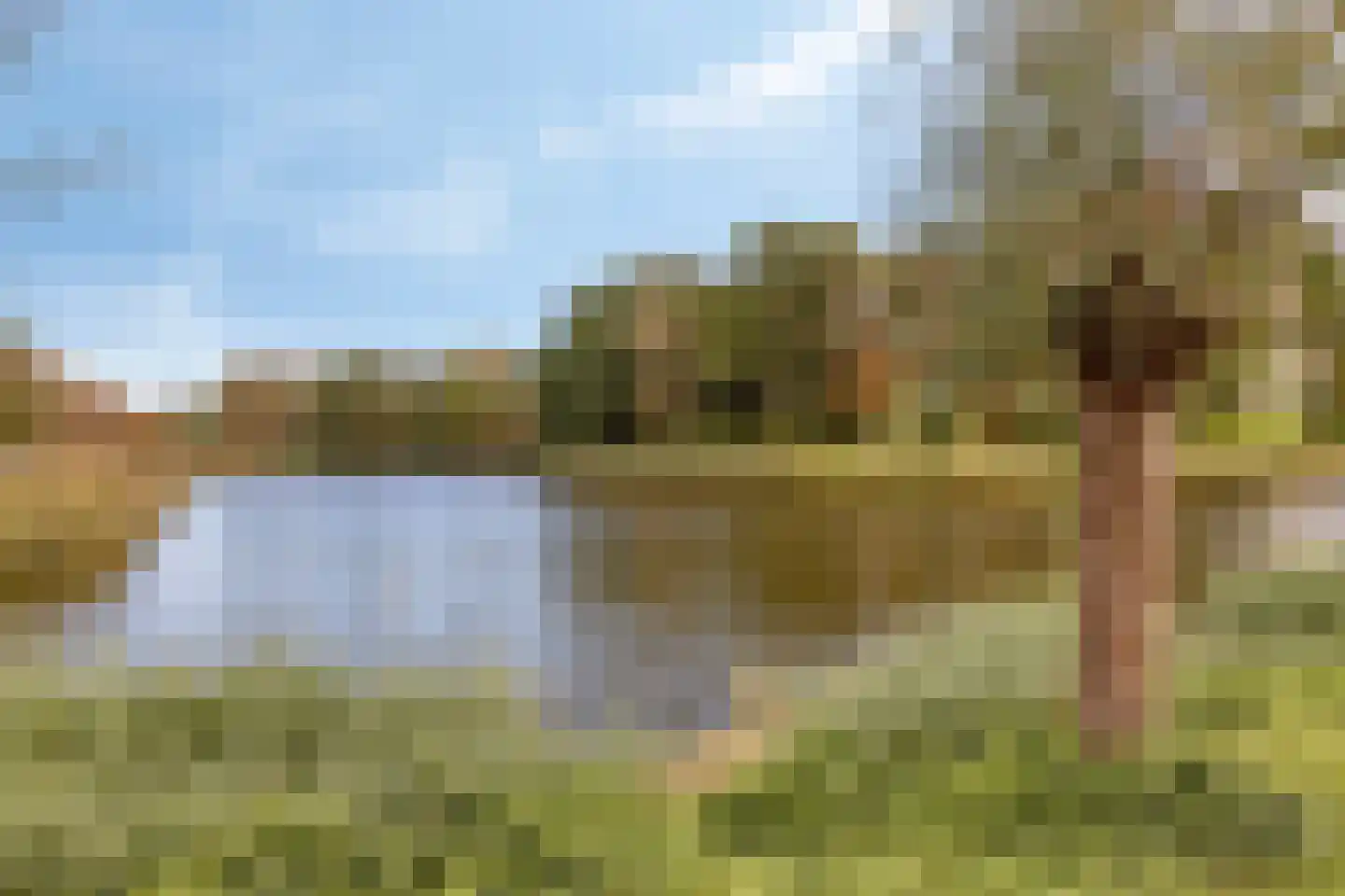 Ten Ankerweg 39 a Tholen thumbnail 65