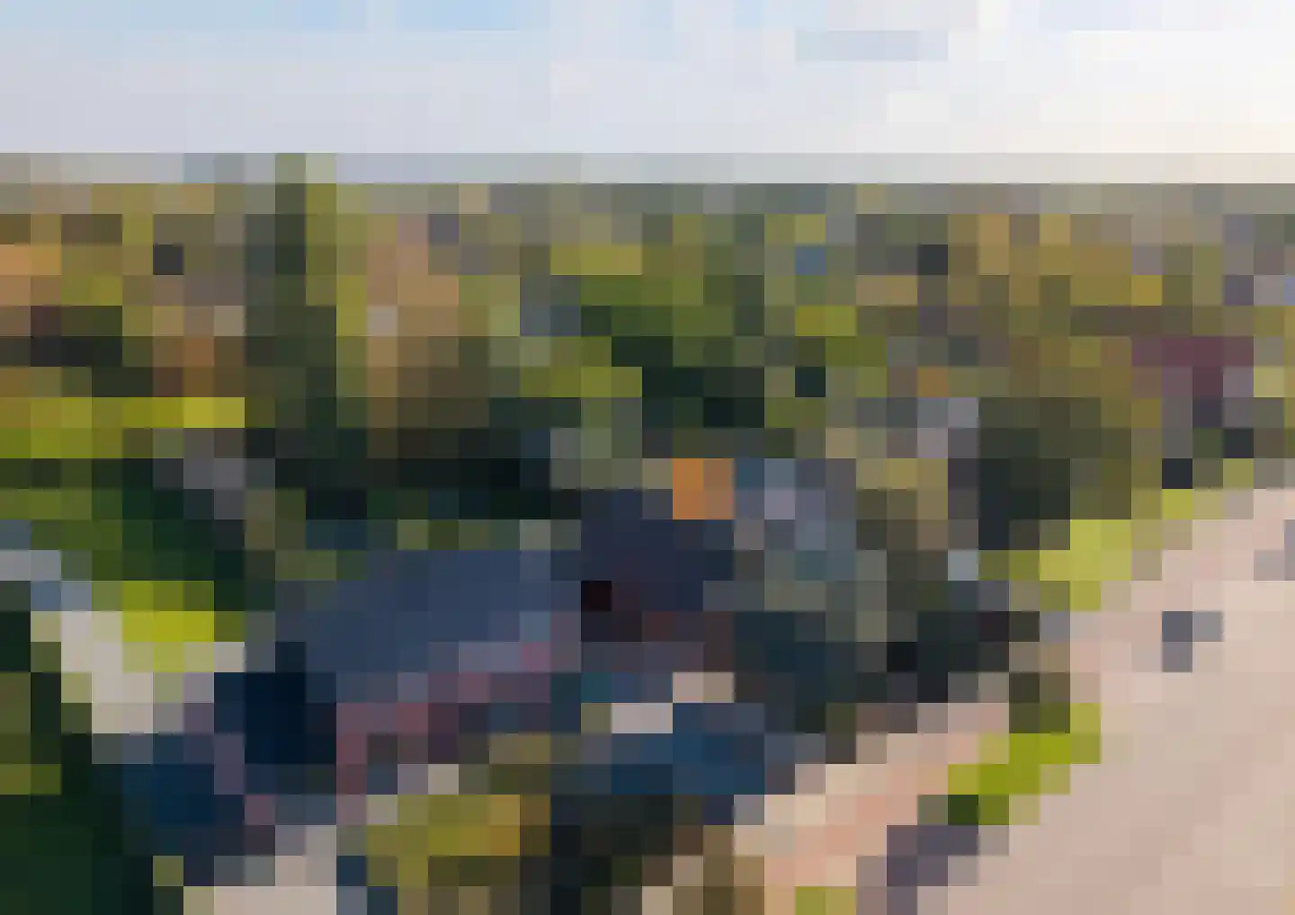 Ten Ankerweg 39 a Tholen thumbnail 67