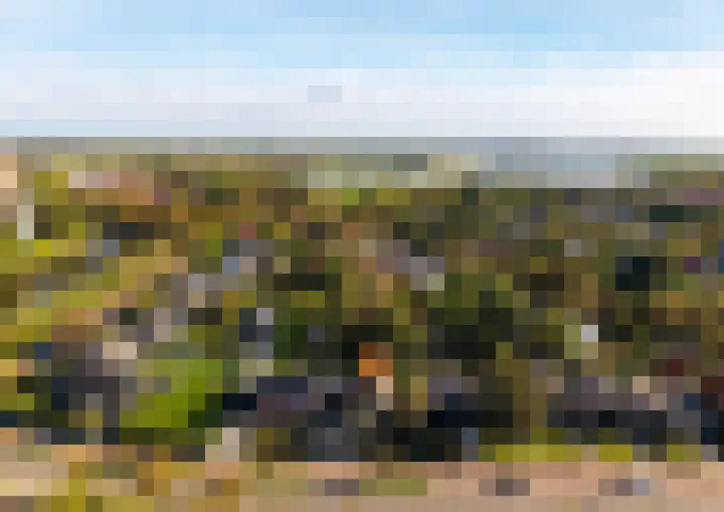 Ten Ankerweg 39 a Tholen thumbnail 68