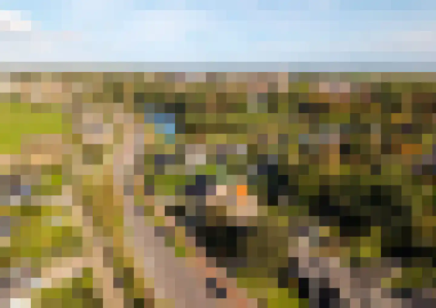 Ten Ankerweg 39 a Tholen thumbnail 69