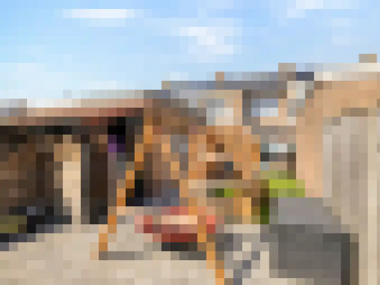 Ten Ankerweg 5 Tholen thumbnail 34