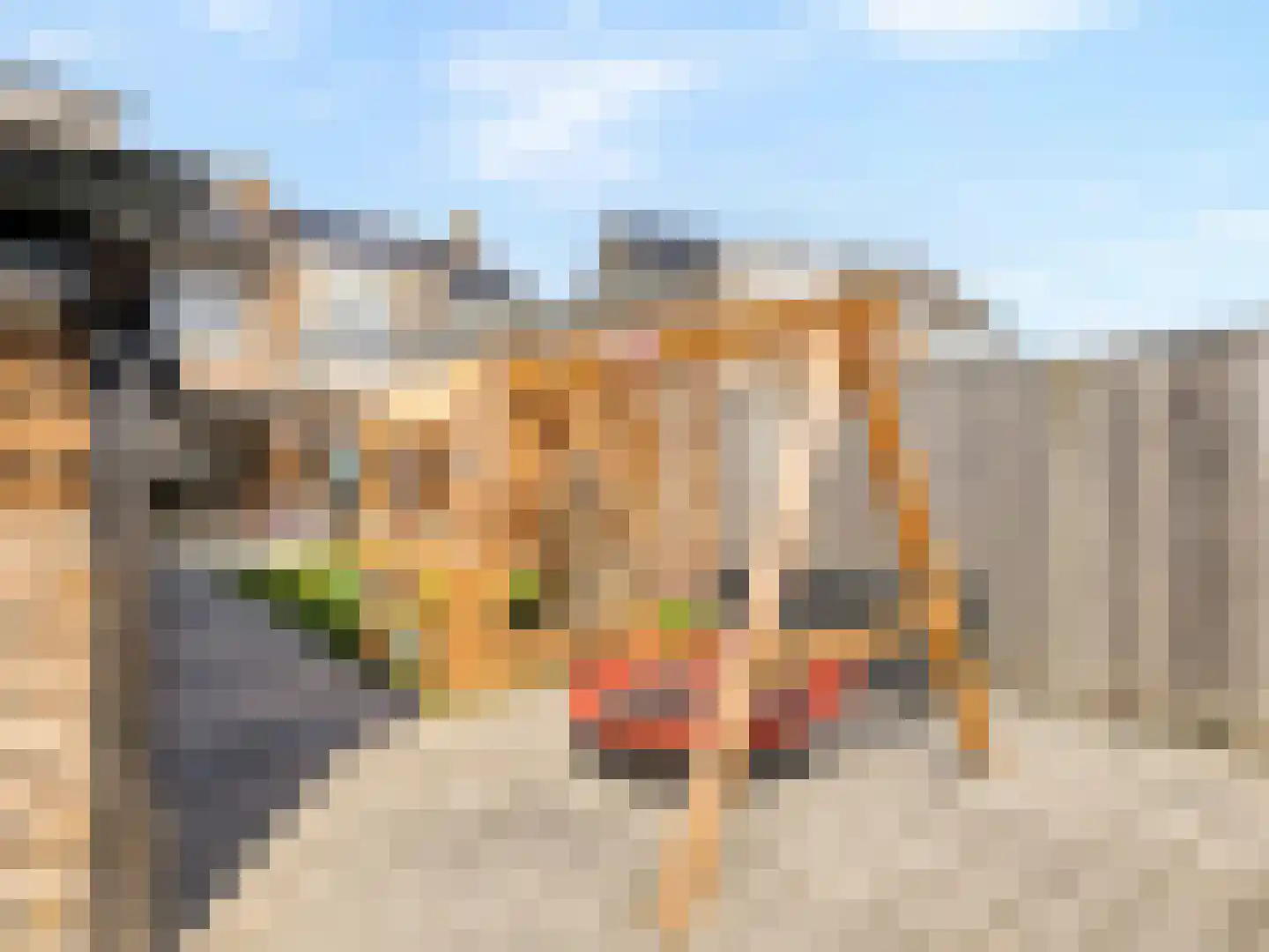 Ten Ankerweg 5 Tholen thumbnail 35