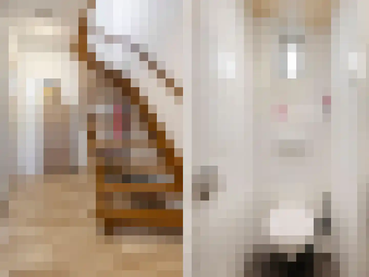 Ten Ankerweg 5 Tholen thumbnail 4