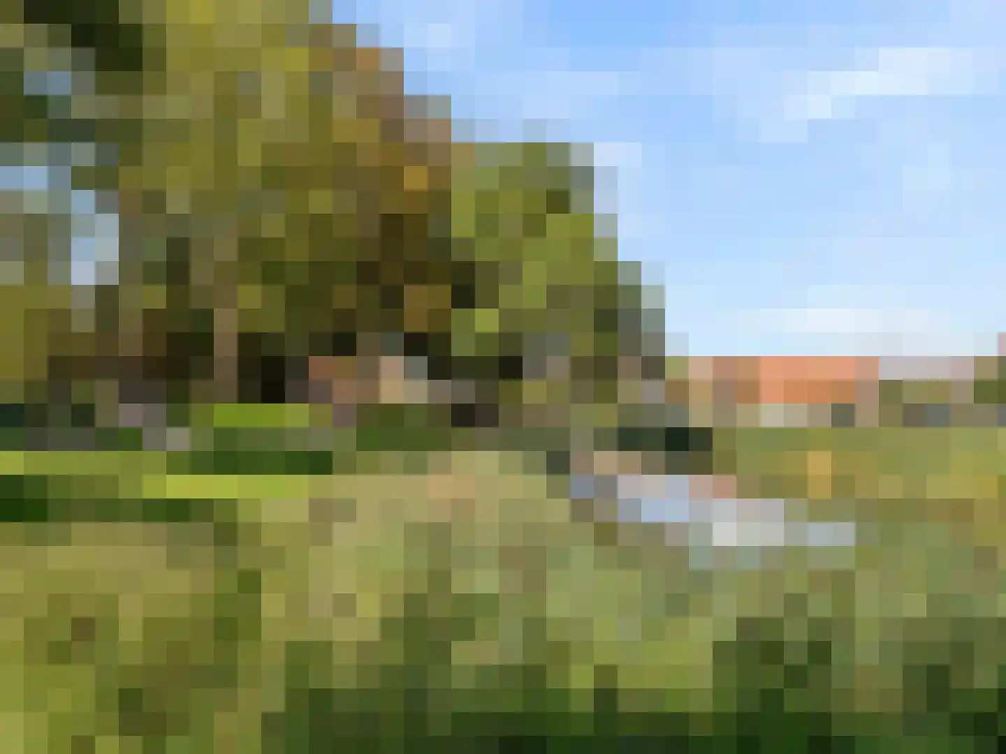 Ten Ankerweg 5 Tholen thumbnail 41