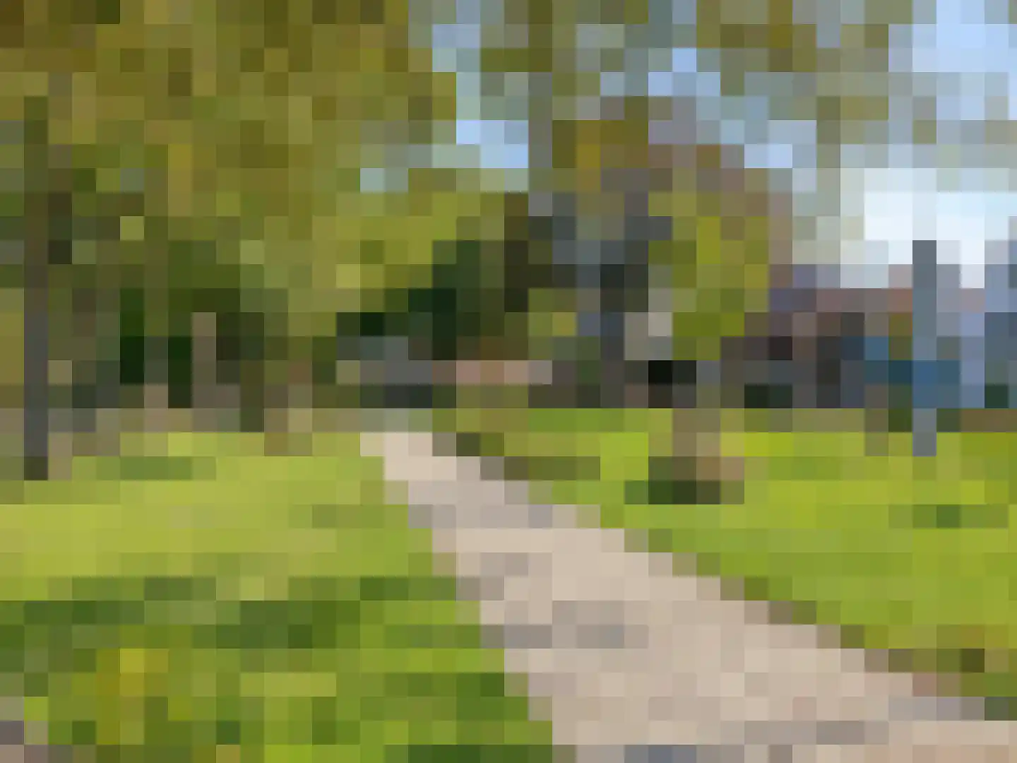 Ten Ankerweg 5 Tholen thumbnail 43