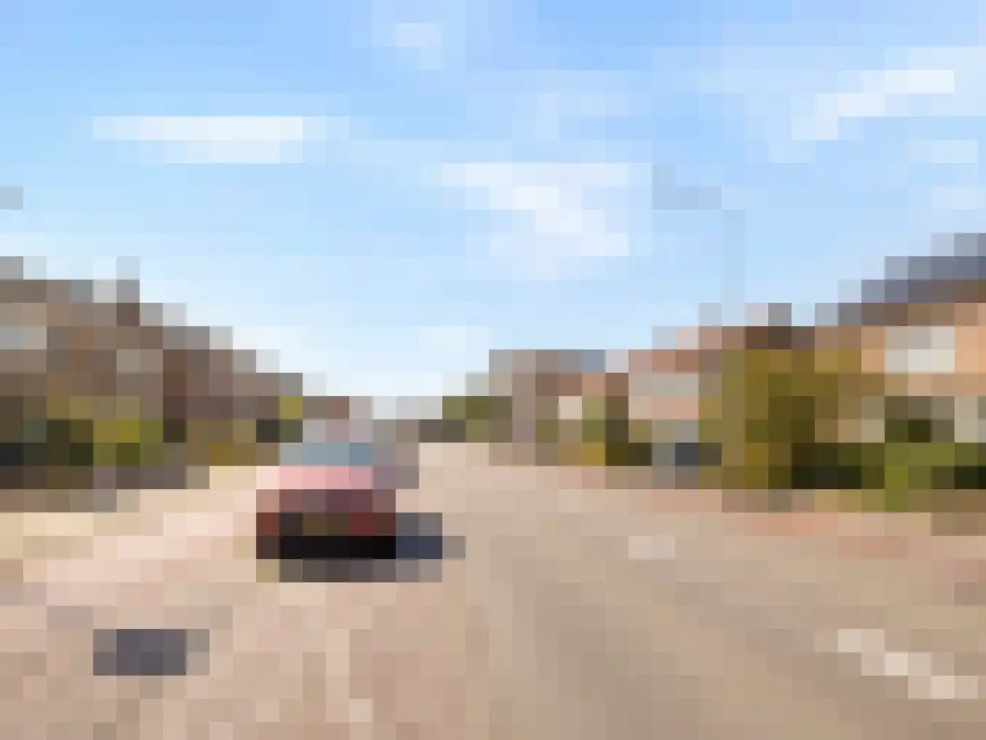 Ten Ankerweg 5 Tholen thumbnail 45