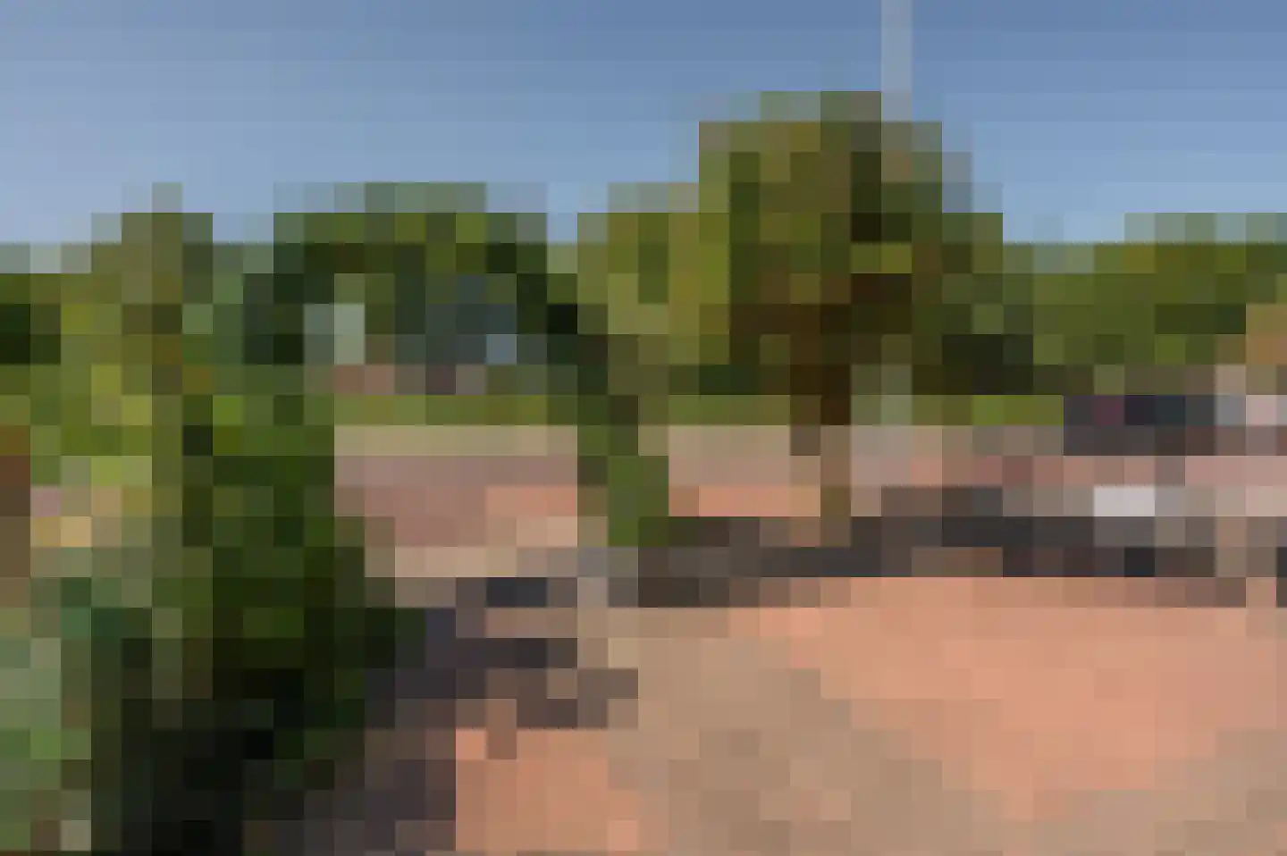 Ten Ankerweg 6 Tholen thumbnail 13