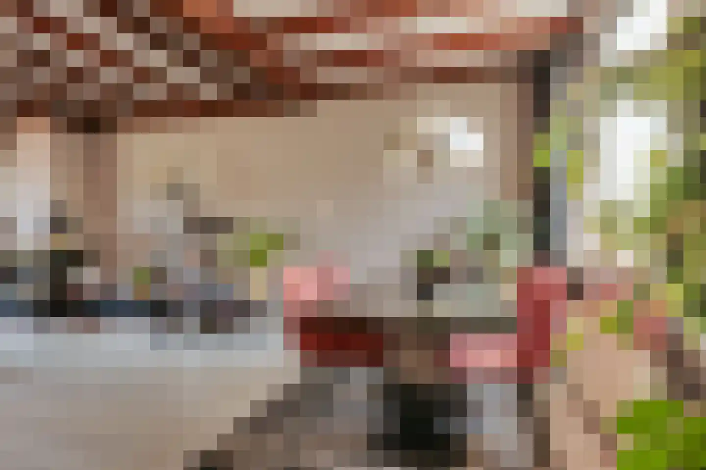 Ten Ankerweg 6 Tholen thumbnail 17