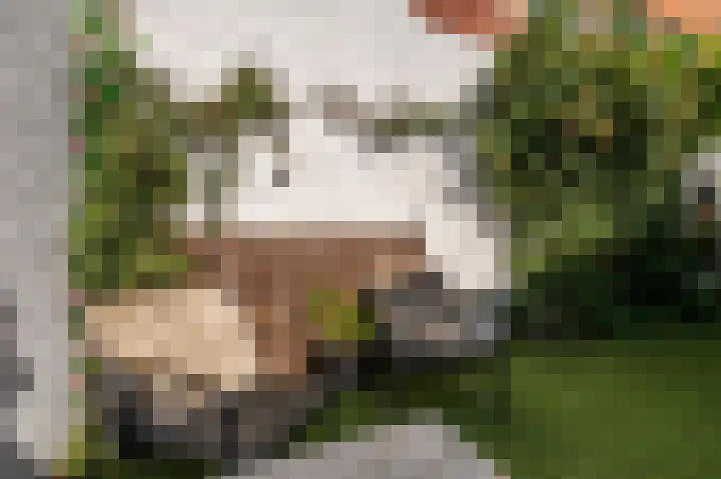 Ten Ankerweg 6 Tholen thumbnail 37