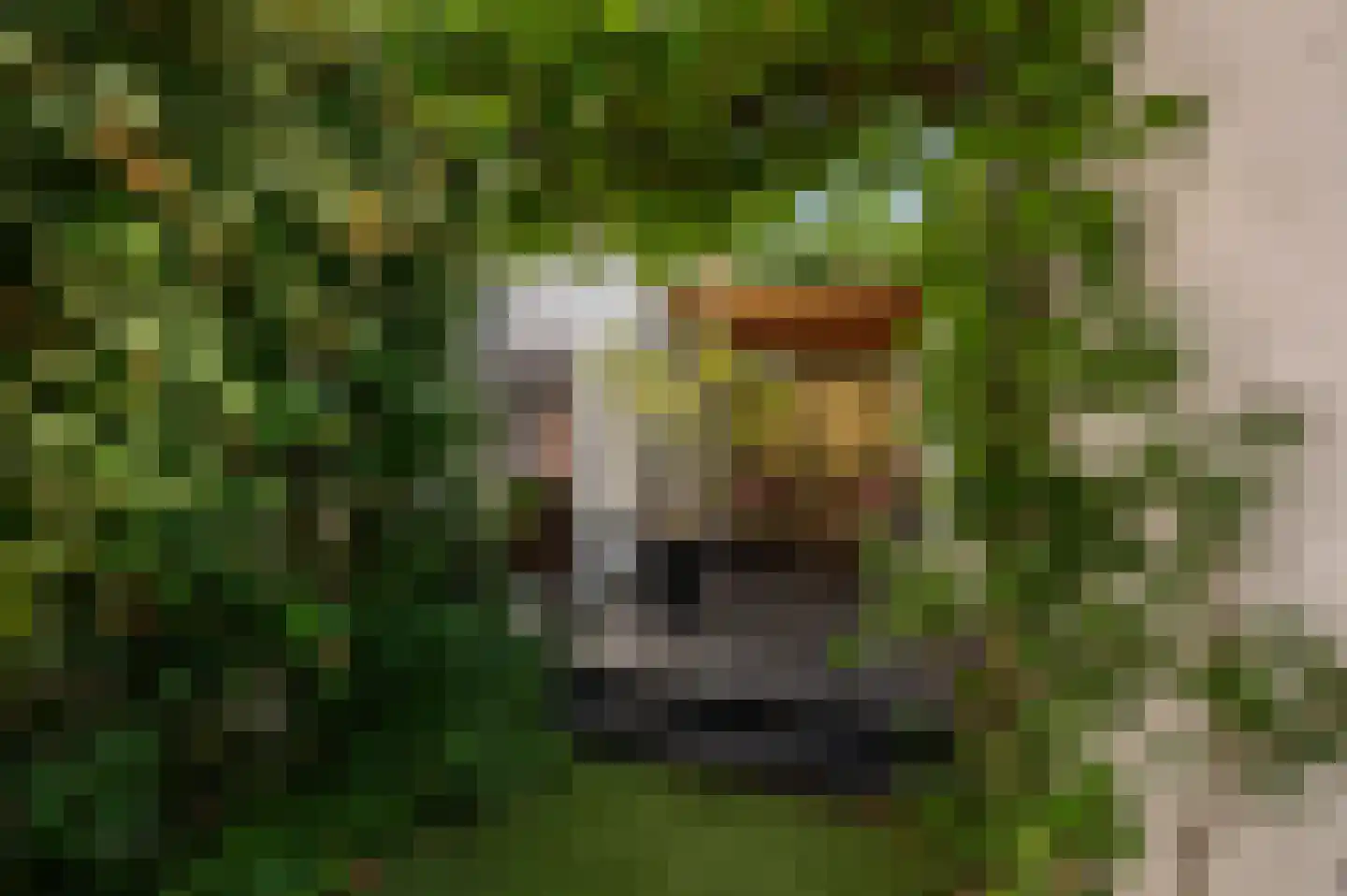 Ten Ankerweg 6 Tholen thumbnail 39