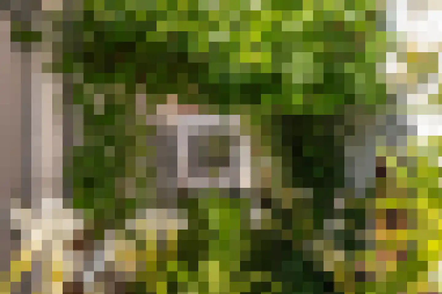 Ten Ankerweg 6 Tholen thumbnail 42