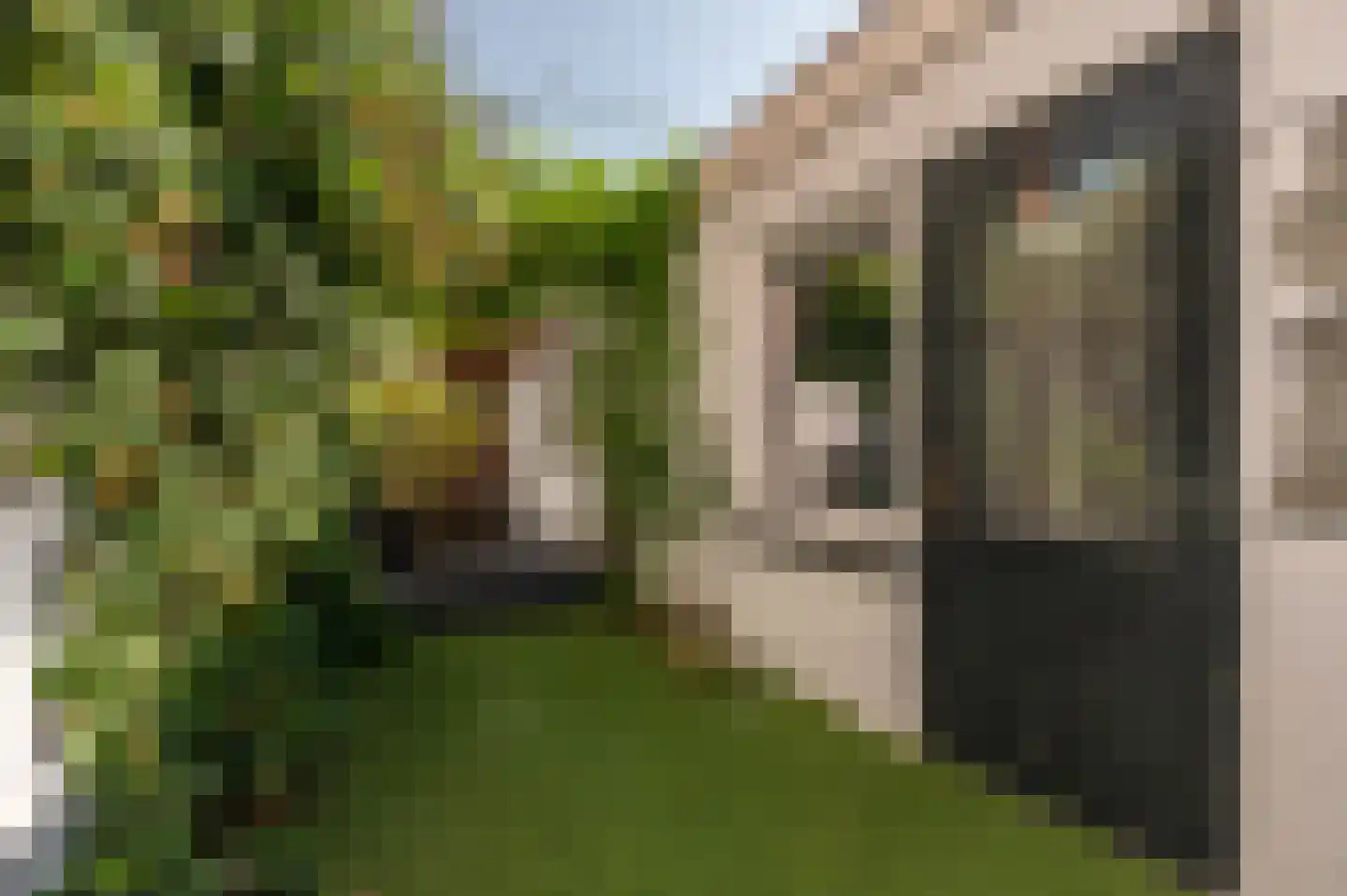 Ten Ankerweg 6 Tholen thumbnail 43