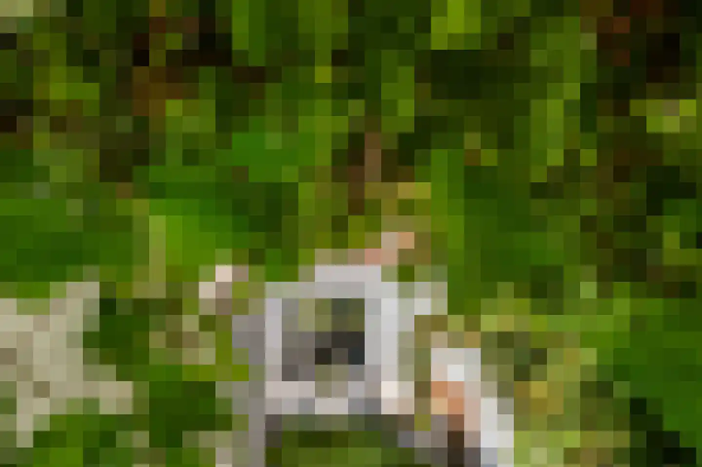 Ten Ankerweg 6 Tholen thumbnail 44
