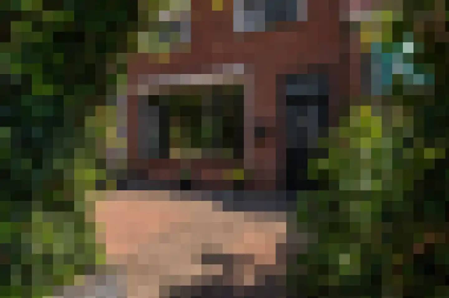 Ten Ankerweg 6 Tholen thumbnail 9