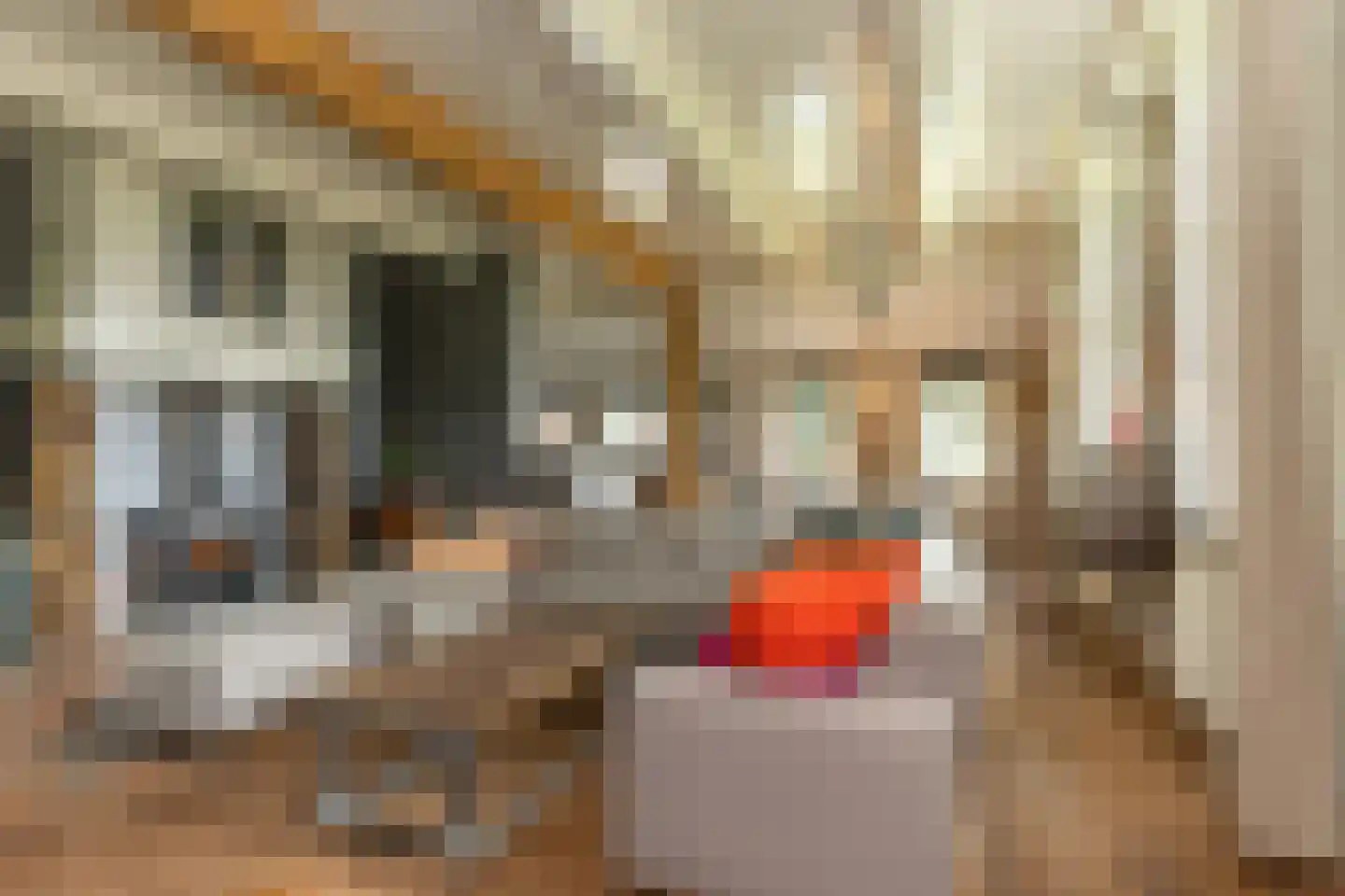 Ten Arlo 3 Zuidwolde thumbnail 11