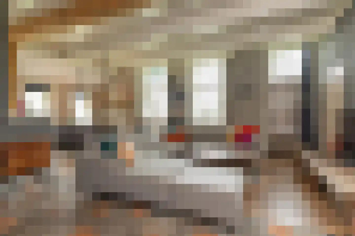 Ten Arlo 3 Zuidwolde thumbnail 12