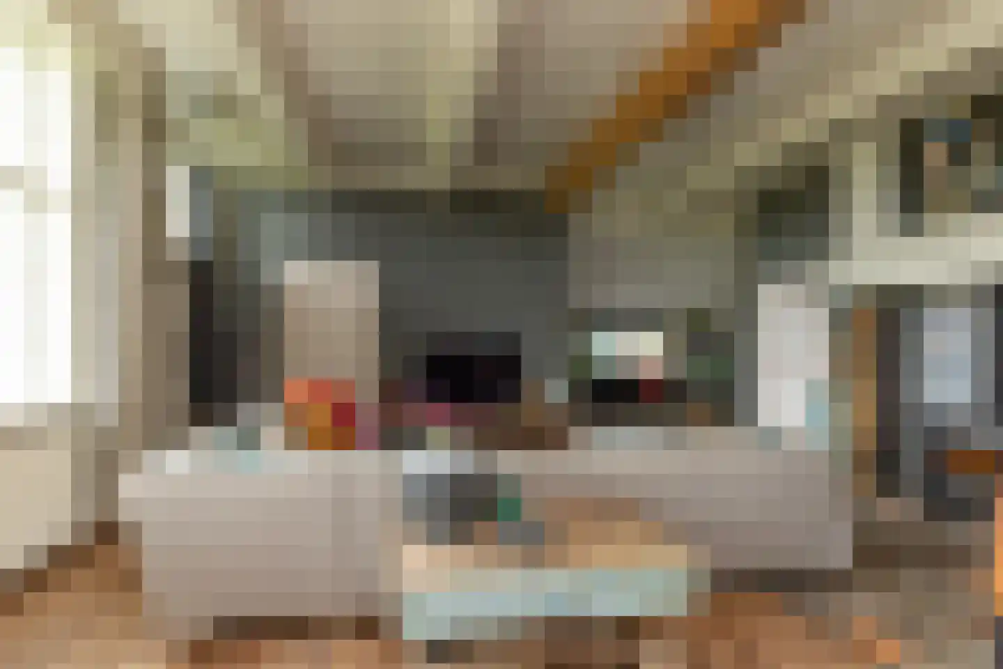 Ten Arlo 3 Zuidwolde thumbnail 14