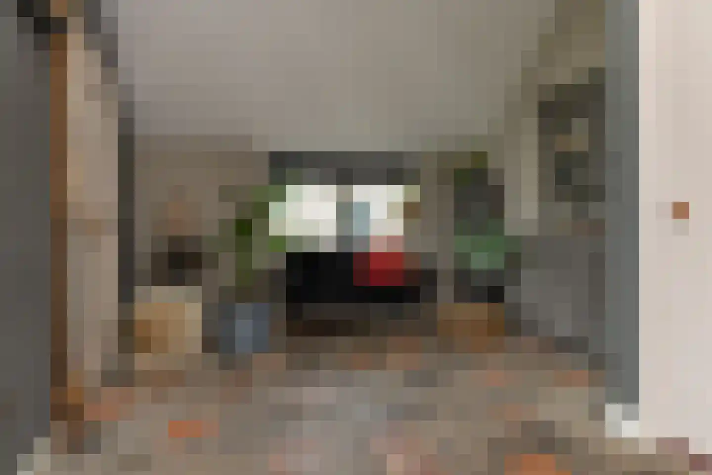 Ten Arlo 3 Zuidwolde thumbnail 15