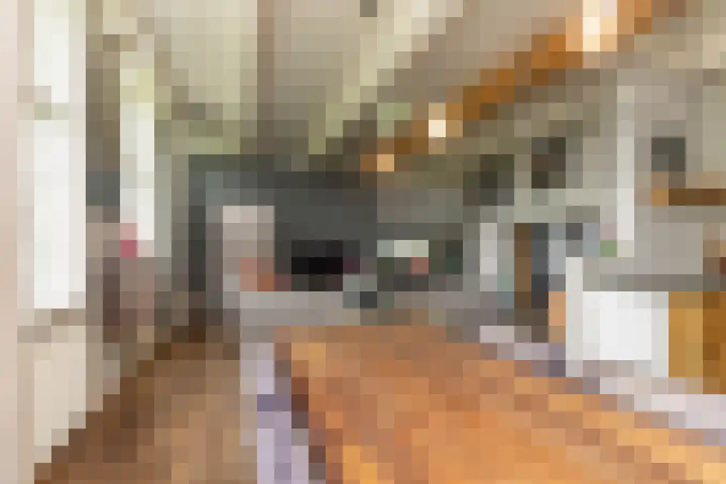 Ten Arlo 3 Zuidwolde thumbnail 19