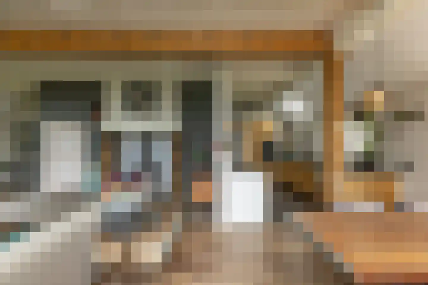 Ten Arlo 3 Zuidwolde thumbnail 20