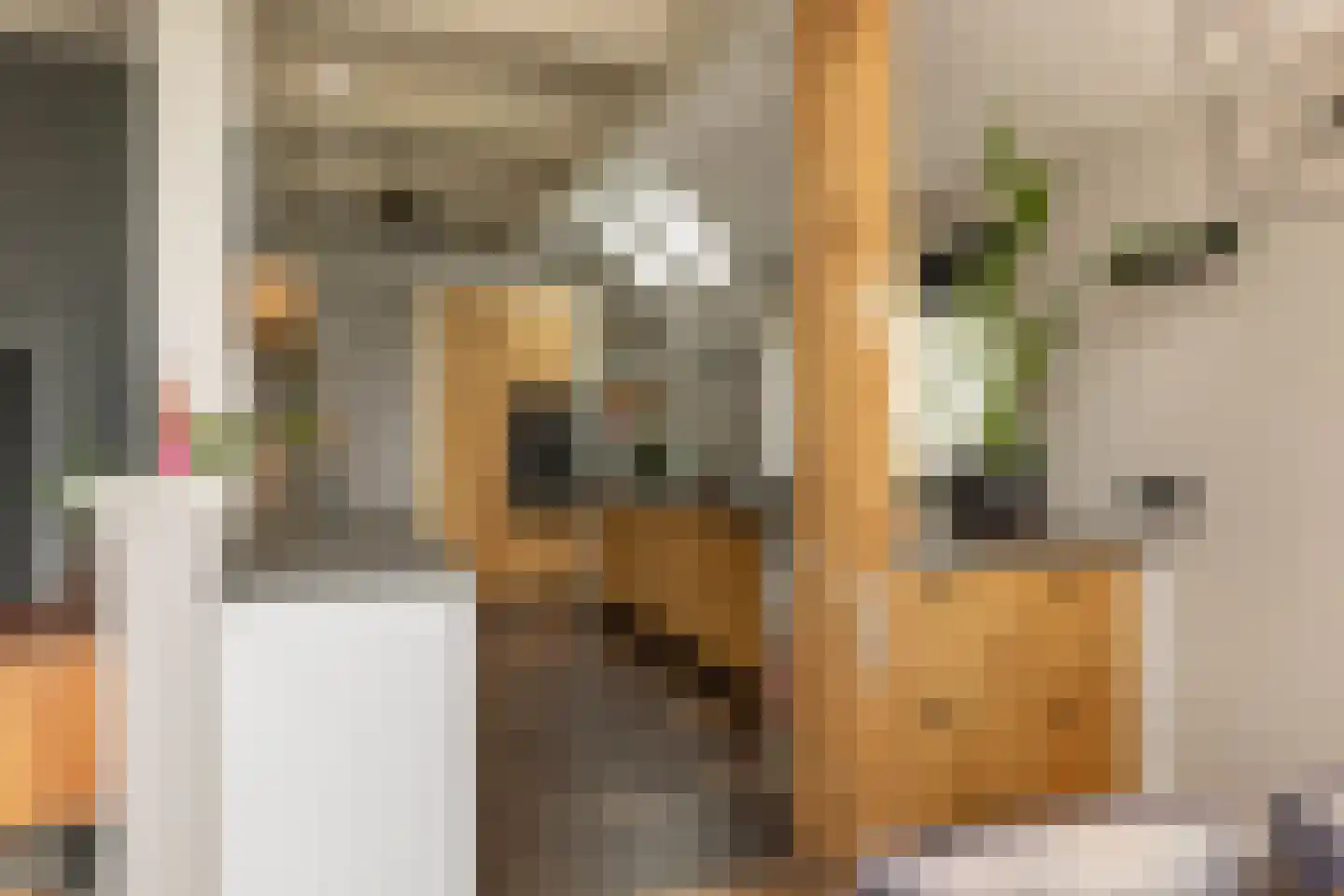 Ten Arlo 3 Zuidwolde thumbnail 21