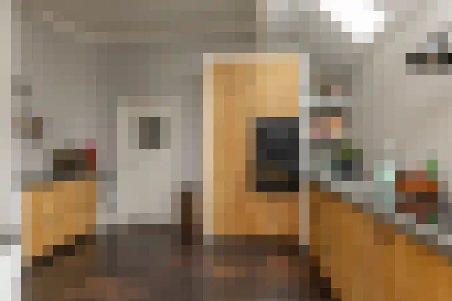 Ten Arlo 3 Zuidwolde thumbnail 22
