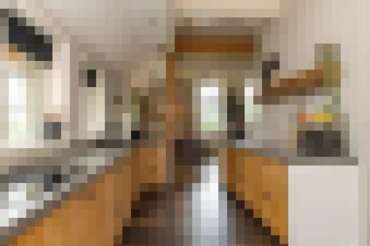 Ten Arlo 3 Zuidwolde thumbnail 23