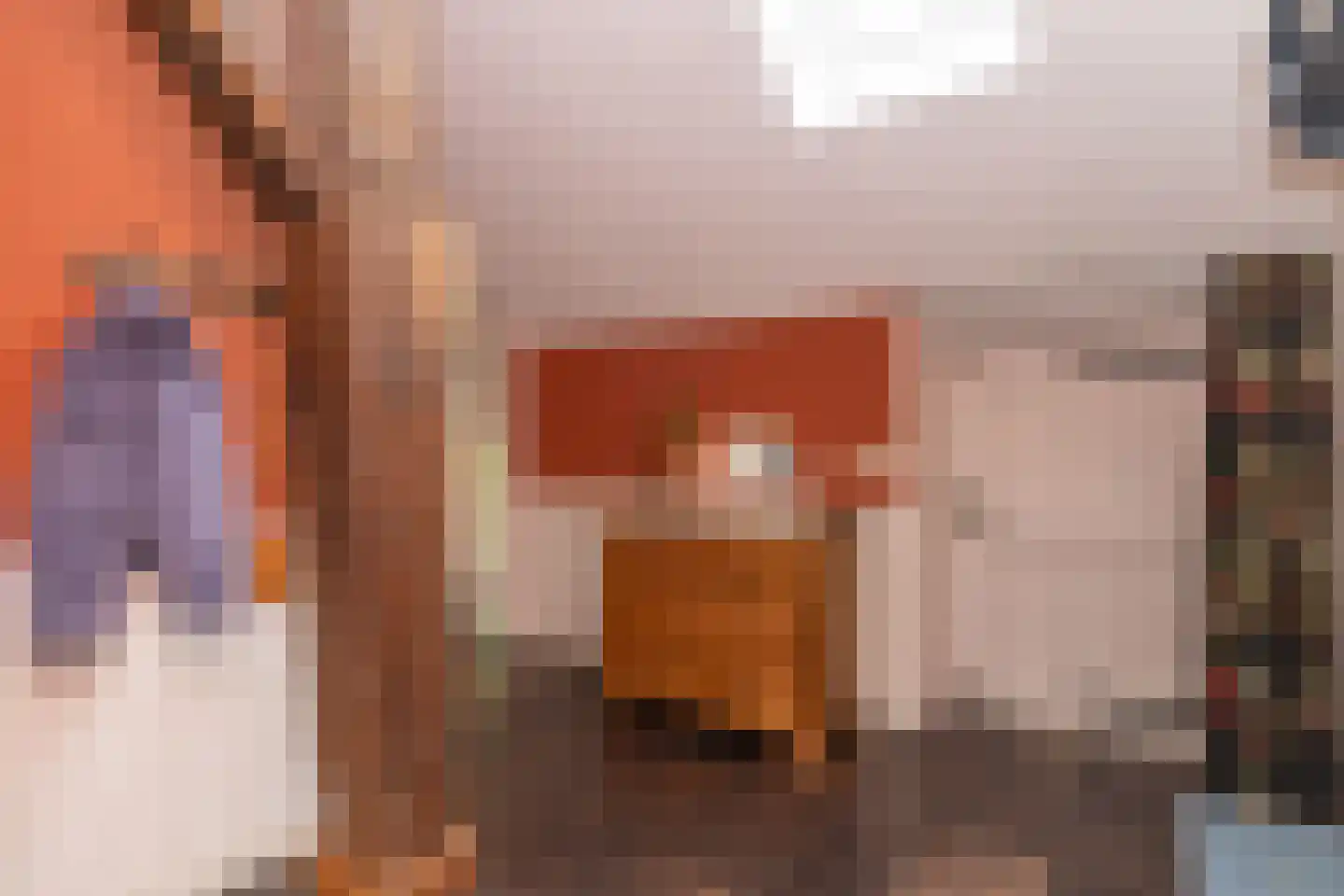 Ten Arlo 3 Zuidwolde thumbnail 25