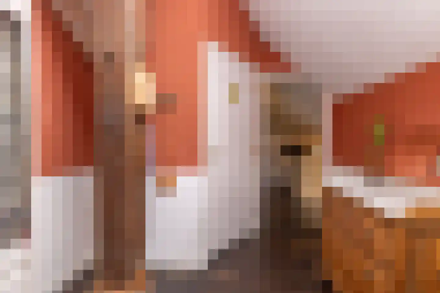Ten Arlo 3 Zuidwolde thumbnail 26