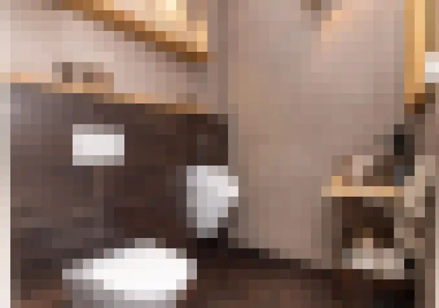 Ten Arlo 3 Zuidwolde thumbnail 27