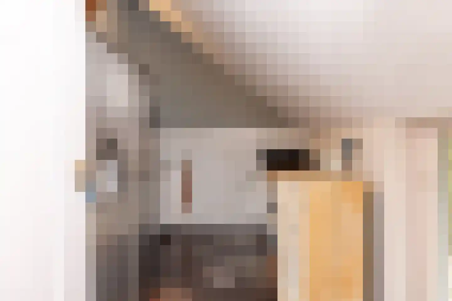 Ten Arlo 3 Zuidwolde thumbnail 28