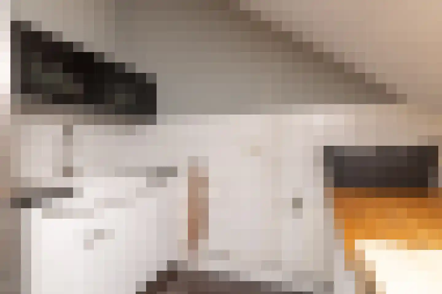 Ten Arlo 3 Zuidwolde thumbnail 29
