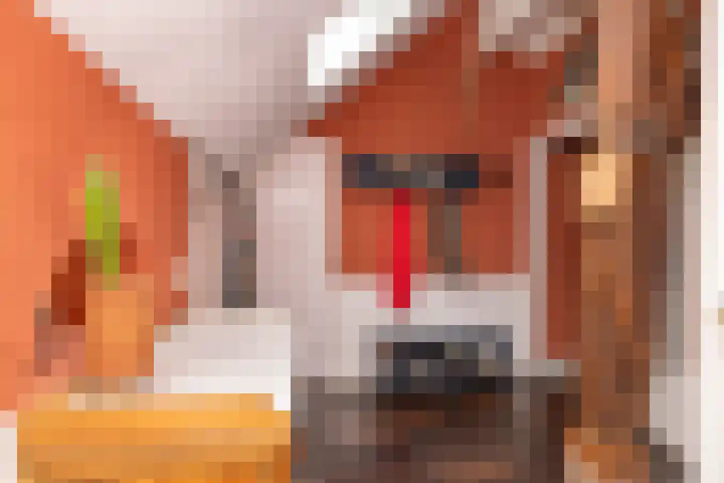 Ten Arlo 3 Zuidwolde thumbnail 30