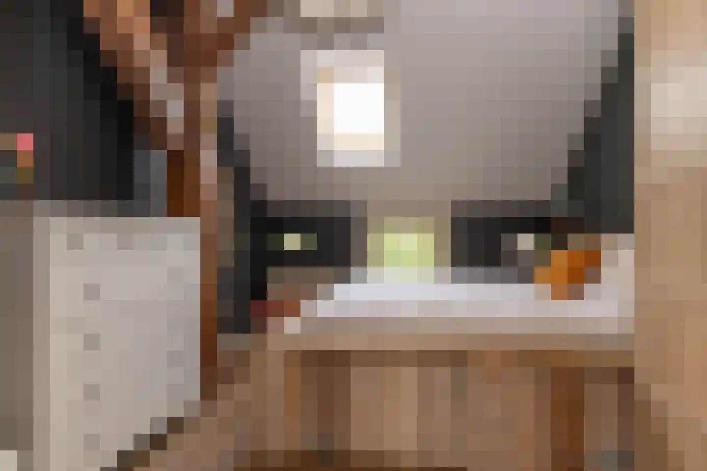 Ten Arlo 3 Zuidwolde thumbnail 33
