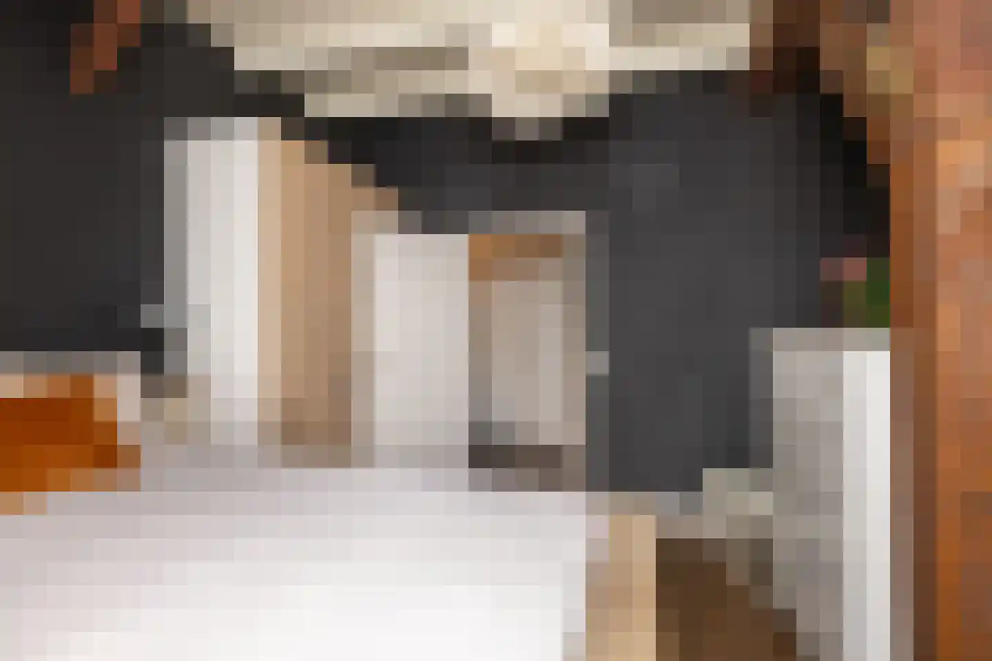 Ten Arlo 3 Zuidwolde thumbnail 34