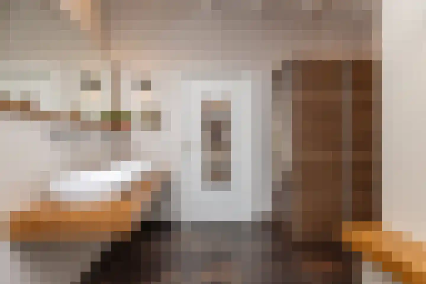 Ten Arlo 3 Zuidwolde thumbnail 36